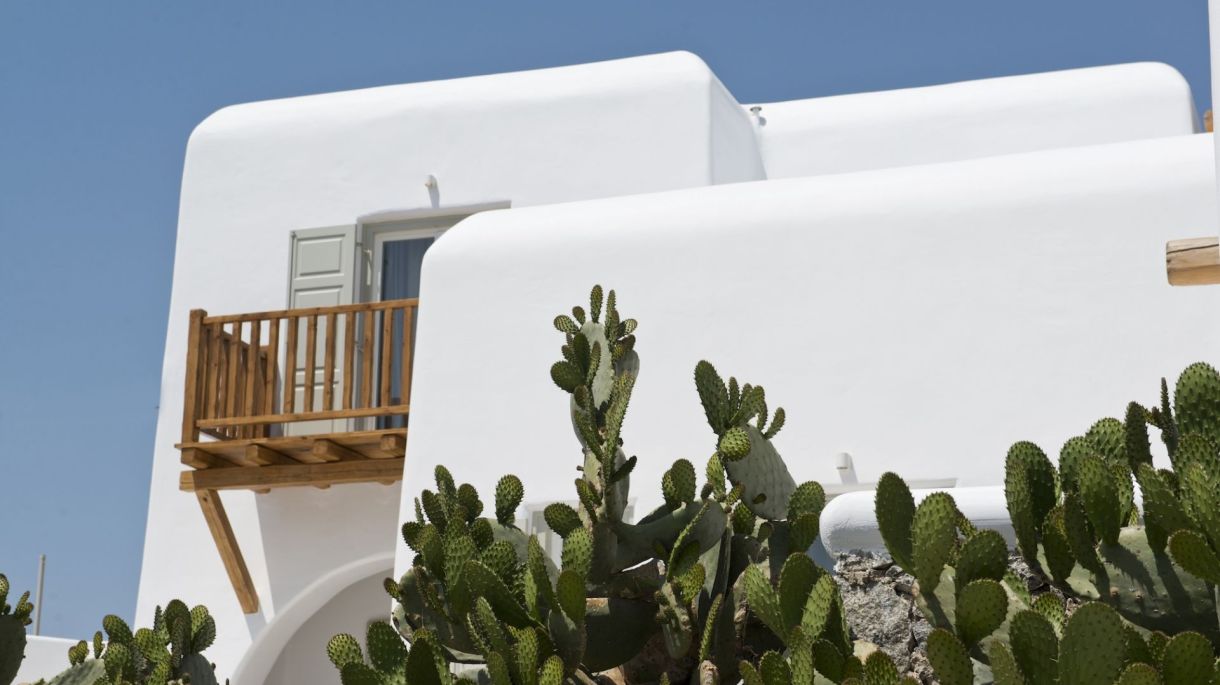 Domus image 5