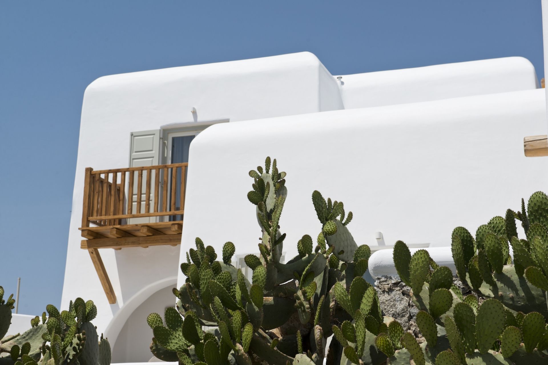 Domus