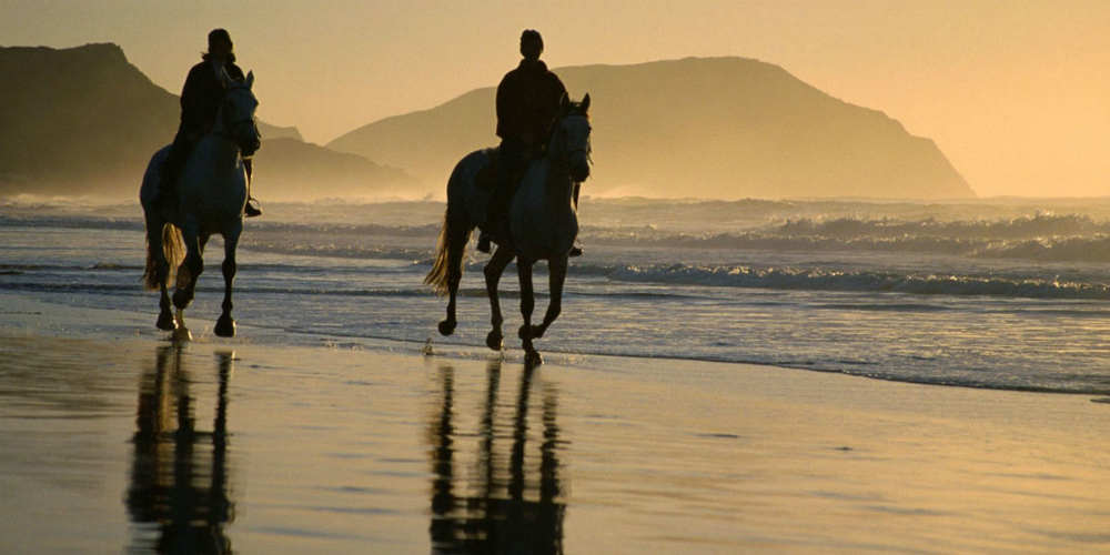 Horseback Riding