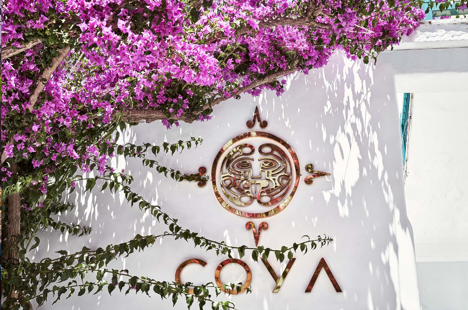 Coya Restaurant