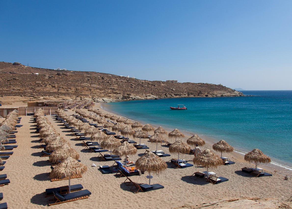 Lia Beach